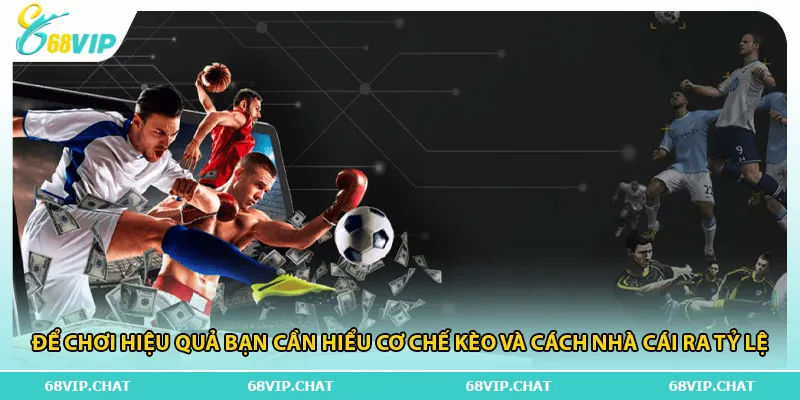 Để chơi hiệu quả bạn cần hiểu cơ chế kèo và cách nhà cái ra tỷ lệ